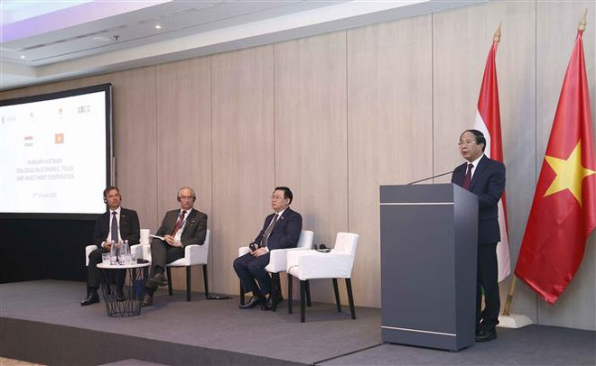 Phó Thủ tướng Lê Văn Thành phát biểu. (Ảnh: Doãn Tấn/TTXVN) Tọa đàm cấp cao Việt Nam-Hungary về kinh tế và thương mại ảnh 1