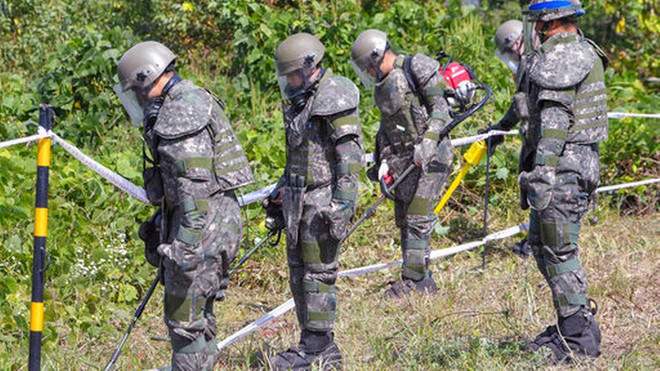 Hàn Quốc phát hiện 2 bộ hài cốt từ thời Chiến tranh Triều Tiên tại DMZ ảnh 1