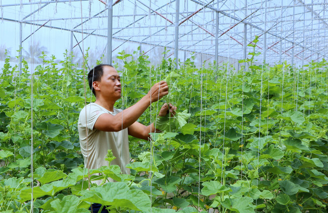 "Dân vận khéo" ở Hải Phòng: Thay đổi bộ mặt nông thôn, nông nghiệp ảnh 1