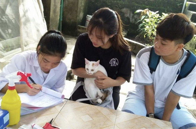 Trạm cứu hộ chó mèo Hà Nội: Nơi hồi sinh những 'người bạn 4 chân' ảnh 2