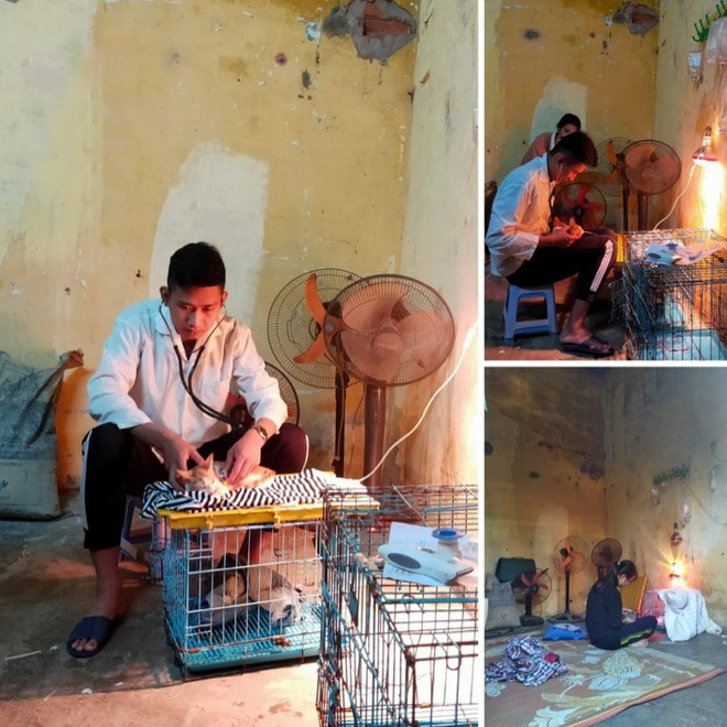 Trạm cứu hộ chó mèo Hà Nội: Nơi hồi sinh những 'người bạn 4 chân' ảnh 1