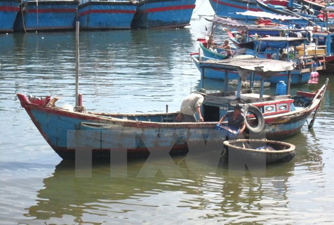 Quảng Nam: Nỗ lực tìm kiếm ngư dân bị mất tích trên biển ảnh 1