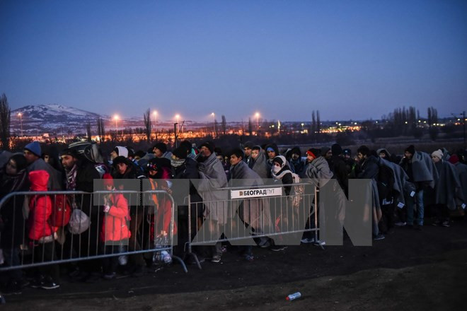 Áo tăng quân tới khu vực biên giới kiểm soát người tị nạn ảnh 1