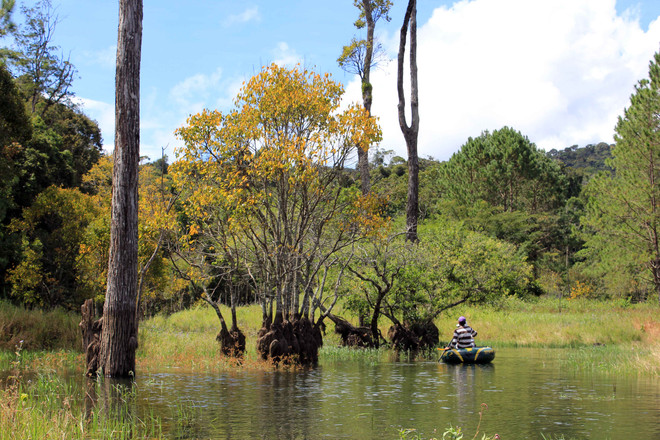 Phát hiện nhiều sai phạm trong dự án Khu nghỉ dưỡng Đà Lạt Star ảnh 1