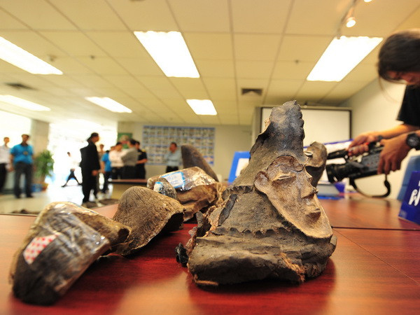 Sừng tê giác nhân tạo sẽ gây ảnh hưởng tiêu cực lên tê giác thật ảnh 1