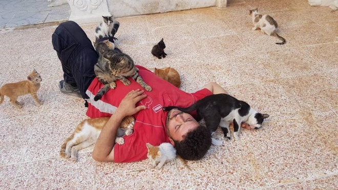 Mohammad Alaa Aljaleel bên những chú mèo mình chăm sóc. (Nguồn: Alaa and house of Cats Ernesto in Aleppo) Chuyện kỳ diệu về người đàn ông chăm sóc chó mèo bị bỏ rơi tại Syria ảnh 3