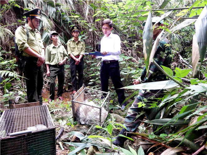 Chặn đà suy giảm đa dạng sinh học: Cần lập cơ chế liên kết quản lý ảnh 1