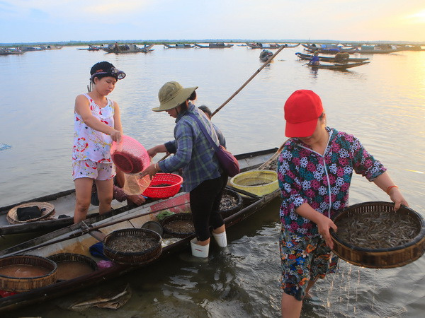 7 dự án trọng điểm nhằm khai thác tốt hệ đầm phá Tam Giang ảnh 1