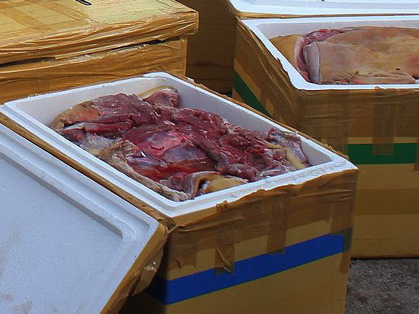 Phát hiện 17 loại thịt nặng gần 800kg, nhiều thứ đã bốc mùi ảnh 1