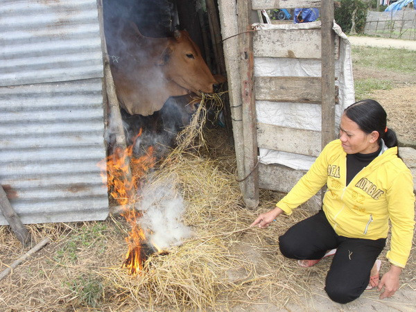 Không khí lạnh tăng cường, Bắc Bộ lại rét đậm từ chiều mai ảnh 1