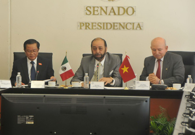 Quốc hội Việt Nam và Mexico tăng cường quan hệ hữu nghị hợp tác ảnh 2