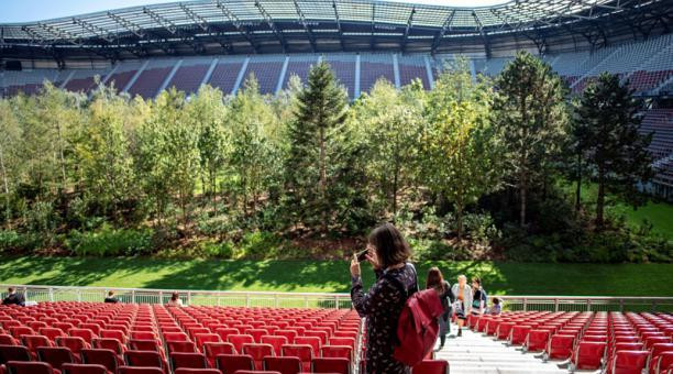 Áo: Ý tưởng độc đáo biến một sân bóng đá thành rừng cây ảnh 2