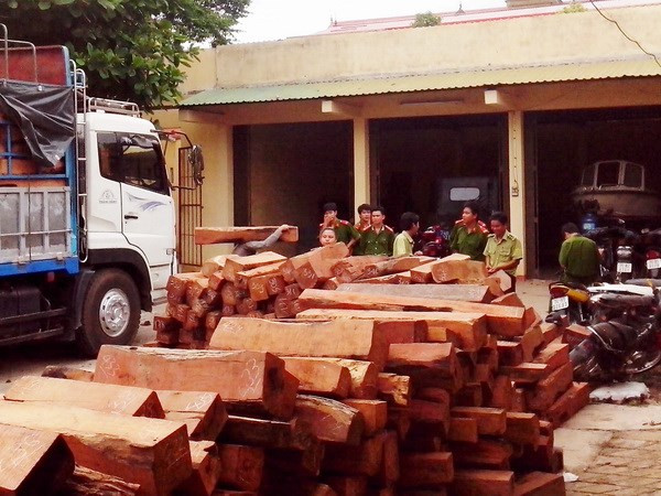 Bắt quả tang vụ vận chuyển trái phép gỗ quý hiếm ở Quảng Nam ảnh 1