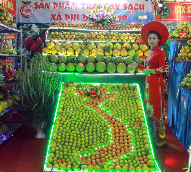 Gian trưng bày sản phẩm trái cây tại Hội chợ. (Ảnh: Đồng Thúy/TTXVN) Khai mạc Hội chợ cam, bưởi và các sản phẩm đặc trưng Lục Ngạn ảnh 2