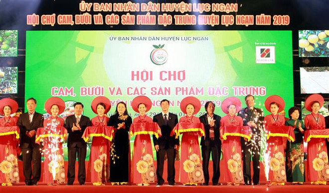 Các đại biểu cắt băng khai mạc Hội chợ. (Ảnh: Đồng Thúy/TTXVN) Khai mạc Hội chợ cam, bưởi và các sản phẩm đặc trưng Lục Ngạn ảnh 1
