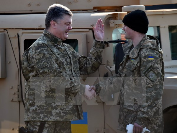 Tổng thống Ukraine: Chỉ dừng cuộc chiến khi giành lại Donbass, Crimea ảnh 1