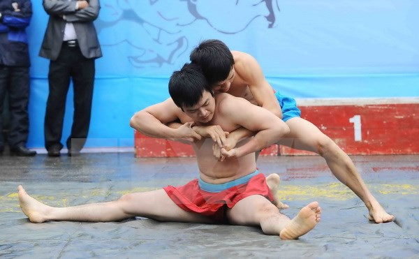 Đoàn Vĩnh Phúc đứng thứ nhất ở giải vật dân tộc anh tài toàn quốc ảnh 1