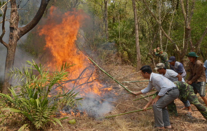Bình Thuận cảnh báo nguy cơ cháy rừng cấp cực kỳ nguy hiểm ảnh 1