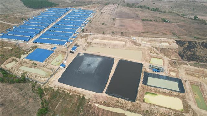 Gia Lai: Người dân khổ sở vì các dự án chăn nuôi ngay trong khu dân cư ảnh 1