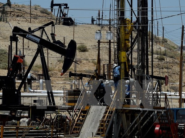 Giá dầu châu Á tăng do OPEC có thể gia hạn việc cắt giảm sản lượng ảnh 1