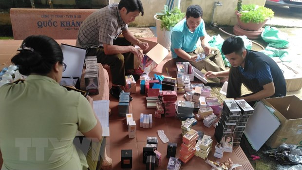 Gia Lai: Tiêu hủy hơn 10 tấn hàng giả, không rõ nguồn gốc ảnh 1
