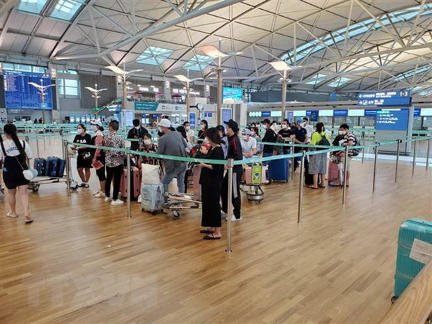 Đưa hơn 250 công dân Việt Nam từ Hàn Quốc về nước an toàn ảnh 1