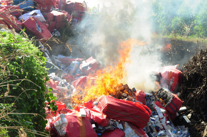 Tây Ninh tiêu hủy trên 380.000 bao thuốc lá nhập lậu trong năm 2016 ảnh 1