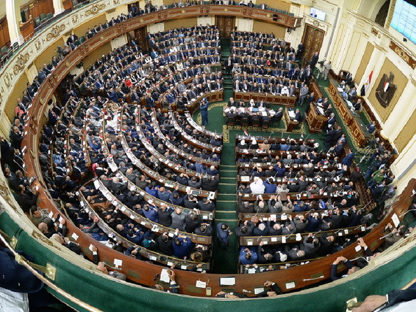 Giáo sư luật được bầu làm Chủ tịch Quốc hội mới của Ai Cập ảnh 1