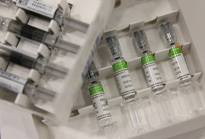 Vắcxin ngừa dịch "cúm lợn" H1N1. (Nguồn: AFP/TTXVN) Brazil ghi nhận gần 1.800 ca tử vong do virus cúm lợn từ đầu năm ảnh 1