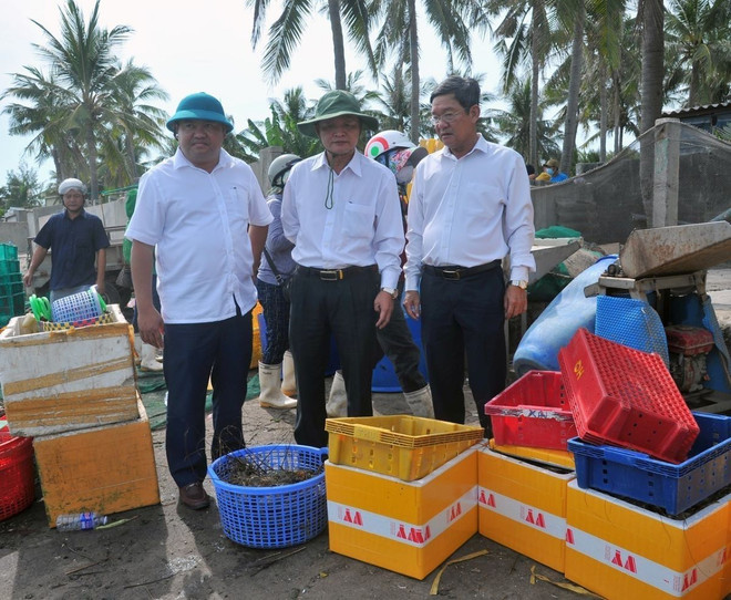 Ông Lê Tấn Hổ, Phó Chủ tịch Thường trực Ủy ban Nhân dân tỉnh Phú Yên (giữa) kiểm tra vùng nuôi tôm hùm bị thiệt hại. (Ảnh: Xuân Triệu/TTXVN) ttxvn_phu_yen_nguoi_dan_thiet_hai_lon_do_tom_hum_ca_chet_hang_loat_2.jpg