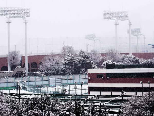 Nhật Bản hứng chịu đợt mưa tuyết lớn chưa từng thấy ảnh 1