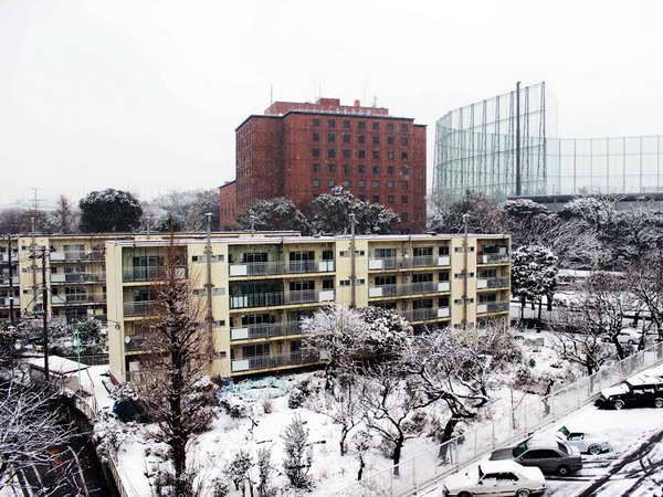 Nhật Bản hứng chịu đợt mưa tuyết lớn chưa từng thấy ảnh 4