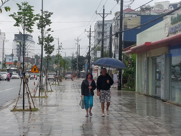 Tối 2/1, áp thấp nhiệt đới đi vào Biển Đông, Nam Bộ nguy cơ ngập lụt ảnh 1