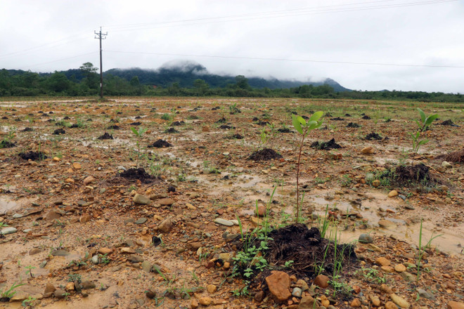 Thừa Thiên-Huế: Hoàn thành xử lý đất nhiễm dioxin tại sân bay A So ảnh 1