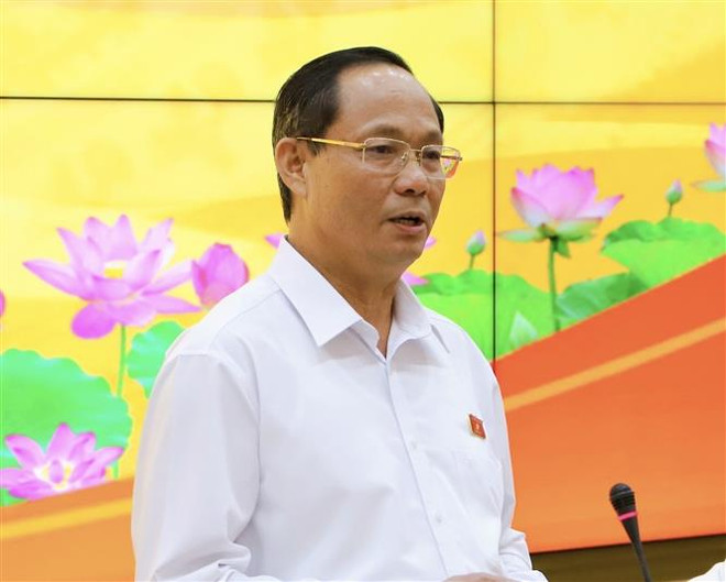 Quốc hội giám sát về thực hành tiết kiệm, chống lãng phí tại TP.HCM ảnh 3