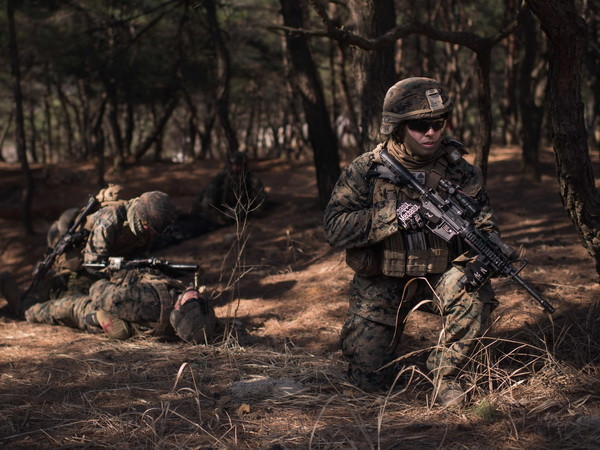 Hàn Quốc, Mỹ, Nhật Bản tập trận chung chống tên lửa lần đầu tiên ảnh 1