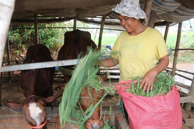 Chỉ có sinh kế ổn định mới giúp người dân thoát nghèo bền vững ảnh 2
