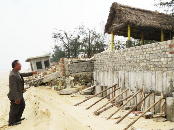 Quảng Bình: Hàng trăm mét bờ biển Nhật Lệ bị xói mòn nghiêm trọng ảnh 1