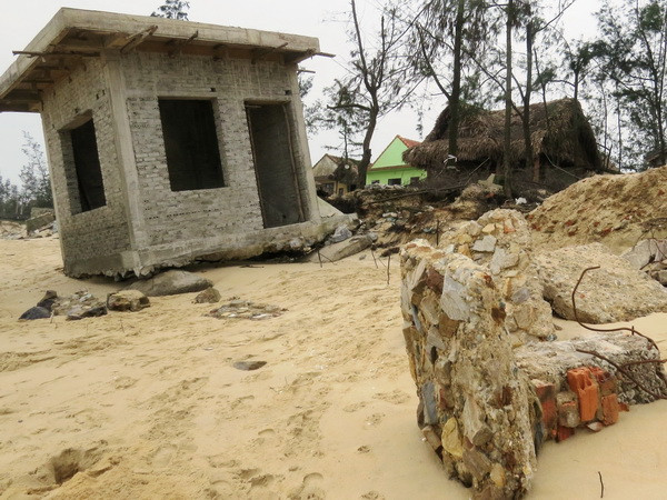 Quảng Bình: Hàng trăm mét bờ biển Nhật Lệ bị xói mòn nghiêm trọng ảnh 2