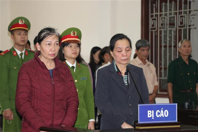 Hòa Bình: 2 phụ nữ lĩnh án 24 năm tù giam vì lừa đảo chạy việc ảnh 1
