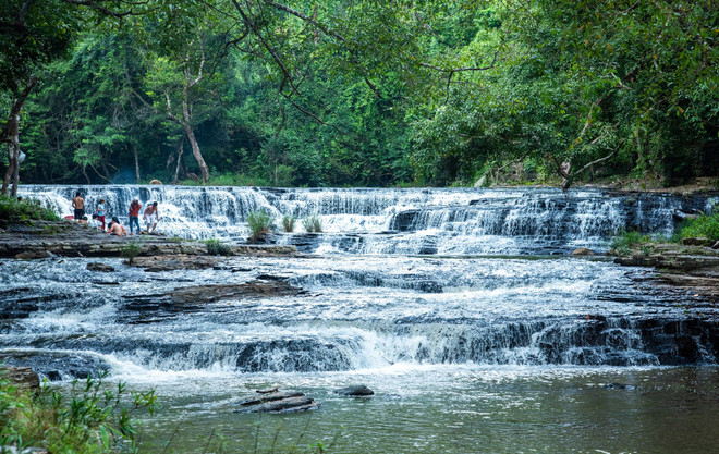 Chương trình phát triển kinh tế-xã hội Tây Nguyên có nhiều đột phá ảnh 3