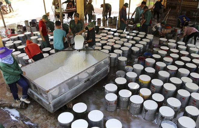 Xuất khẩu trên 3 tỷ USD, triển vọng sáng cho ngành cao su năm 2022 ảnh 2