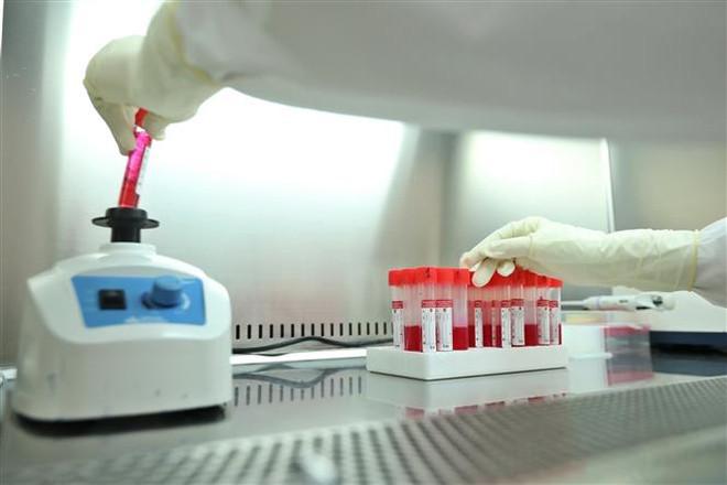 Phân tách mẫu xét nghiệm COVID-19. (Ảnh: Minh Quyết/TTXVN) Long An ghi nhận trường hợp nhiễm COVID-19 biến thể Omicron đầu tiên ảnh 1