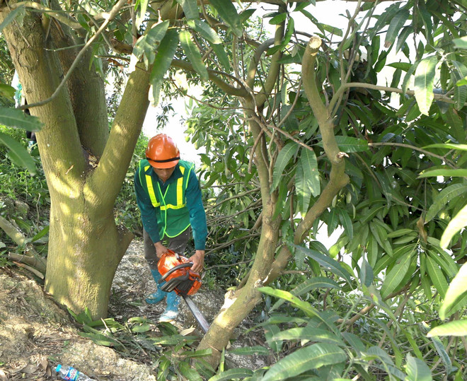 Vĩnh Phúc: Thu hồi hơn 5,1ha đất cho dự án Khu Đô thị mới Nam Vĩnh Yên ảnh 2