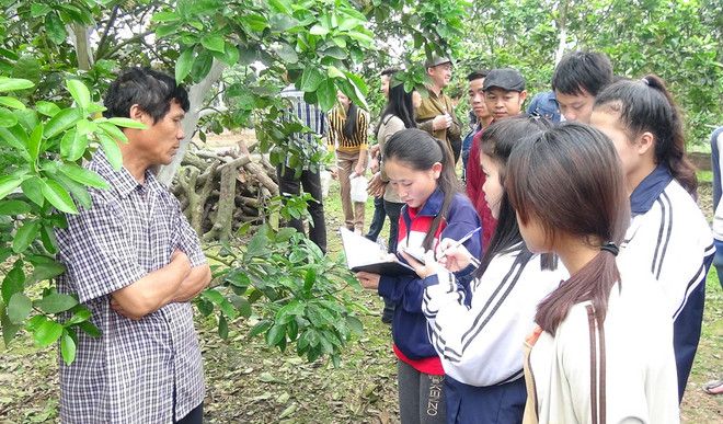 "Homestay" cho học sinh Lào: Dạy tiếng Việt gắn với sự ấm áp gia đình ảnh 1
