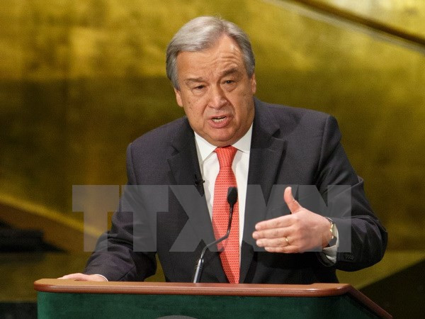 Ông Antonio Guterres vẫn dẫn đầu cuộc đua ghế Tổng thư ký LHQ ảnh 1