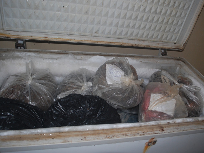 Diễn biến mới nhất về vụ 70 cá thể tê tê quý “chết mòn” ở Cúc Phương ảnh 3