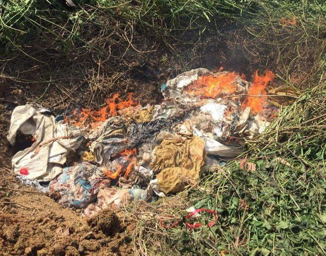 Tuyên Quang: Bắt giữ và tiêu hủy hơn 1,1 tấn bì lợn đang phân hủy ảnh 1