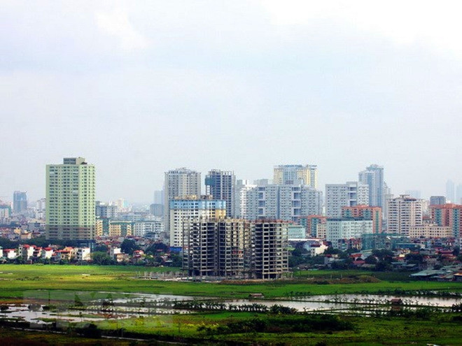 Thúc đẩy tập trung đất đai phục vụ sản xuất nông nghiệp quy mô lớn ảnh 1