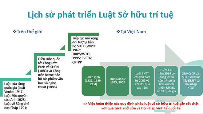 Bốn kiến nghị nhằm nâng cao thực thi sở hữu trí tuệ tại Việt Nam ảnh 3